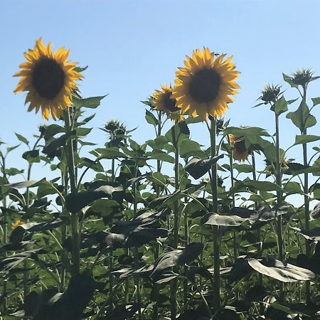 B&B Temenos 파르마 외부 사진