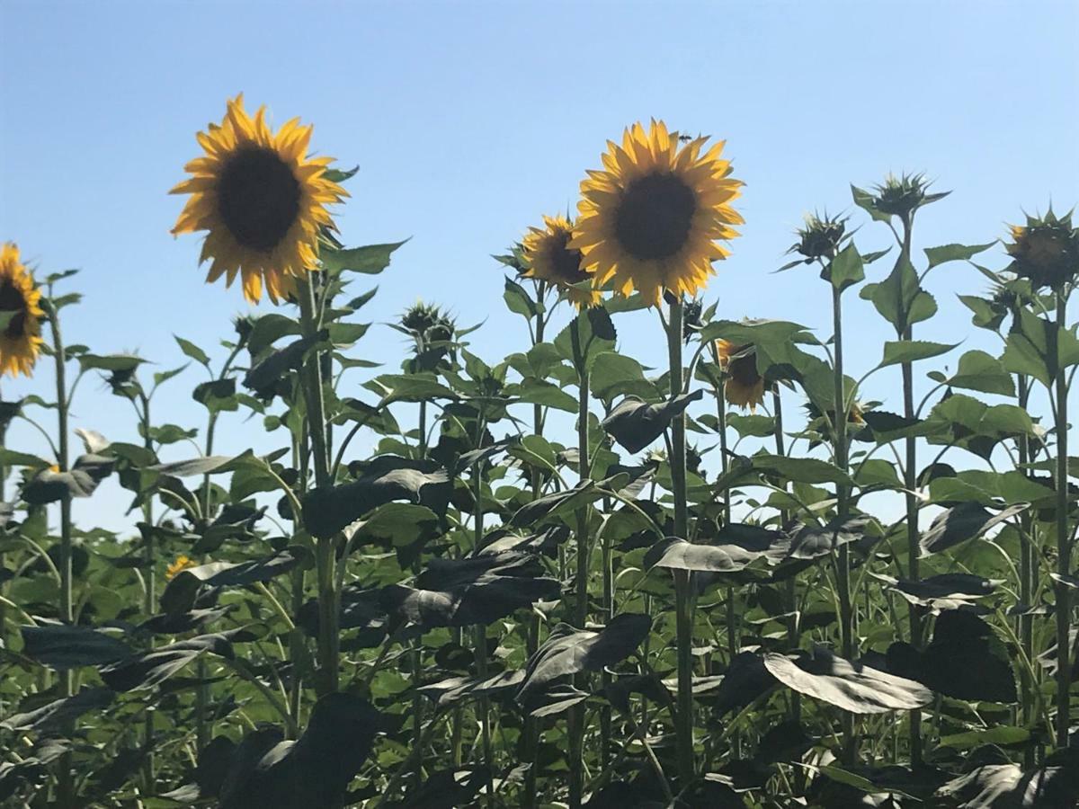 B&B Temenos 파르마 외부 사진