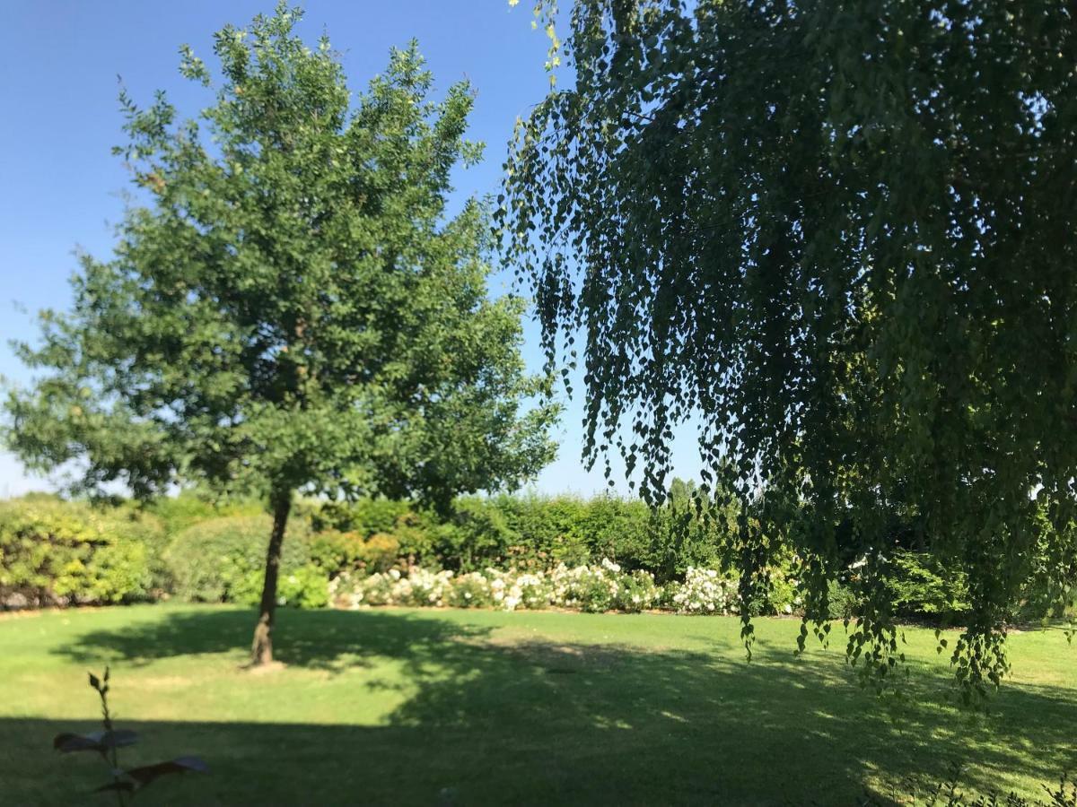 B&B Temenos 파르마 외부 사진